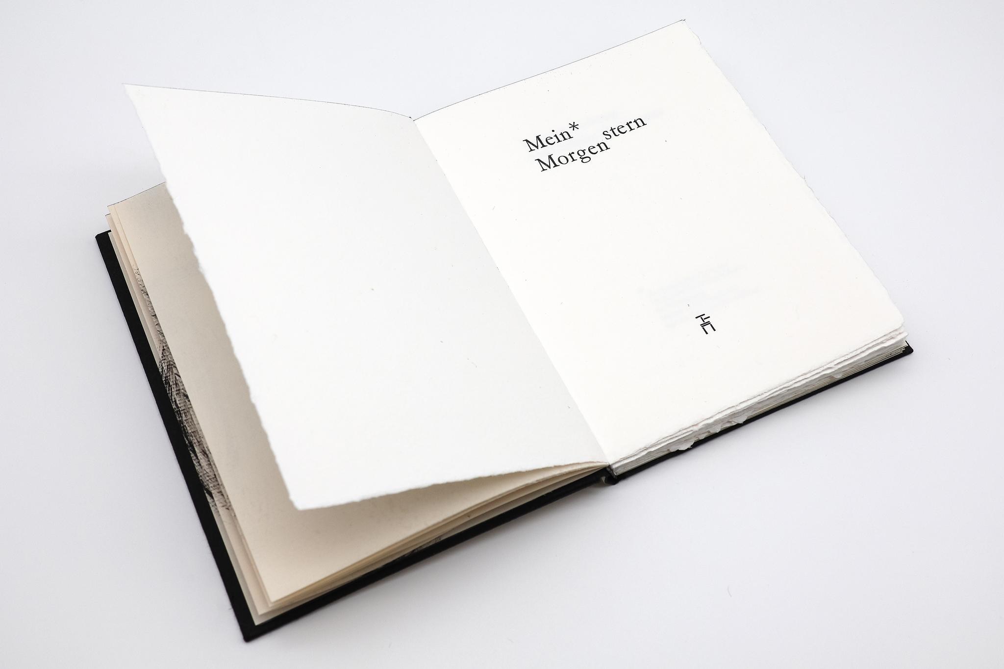 176432_VereinMDE_Morgenstern-10_BM_06.jpg