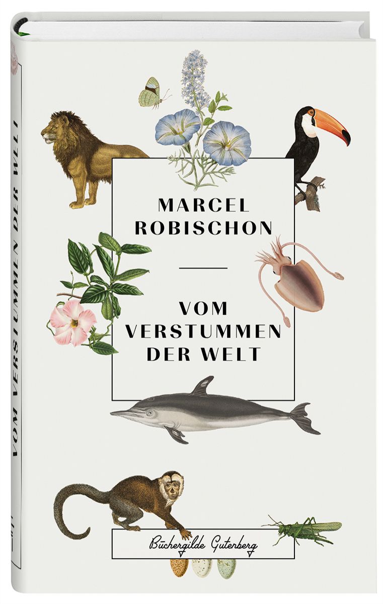 171457_Robischon_Verstummen_FR_02.jpg
