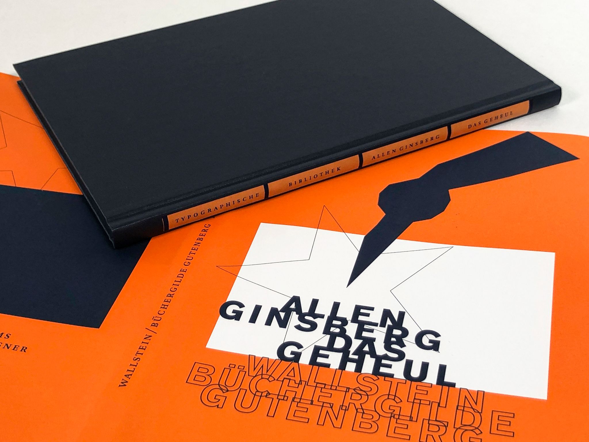 172046_Ginsberg_Geheul_BA_01.jpg