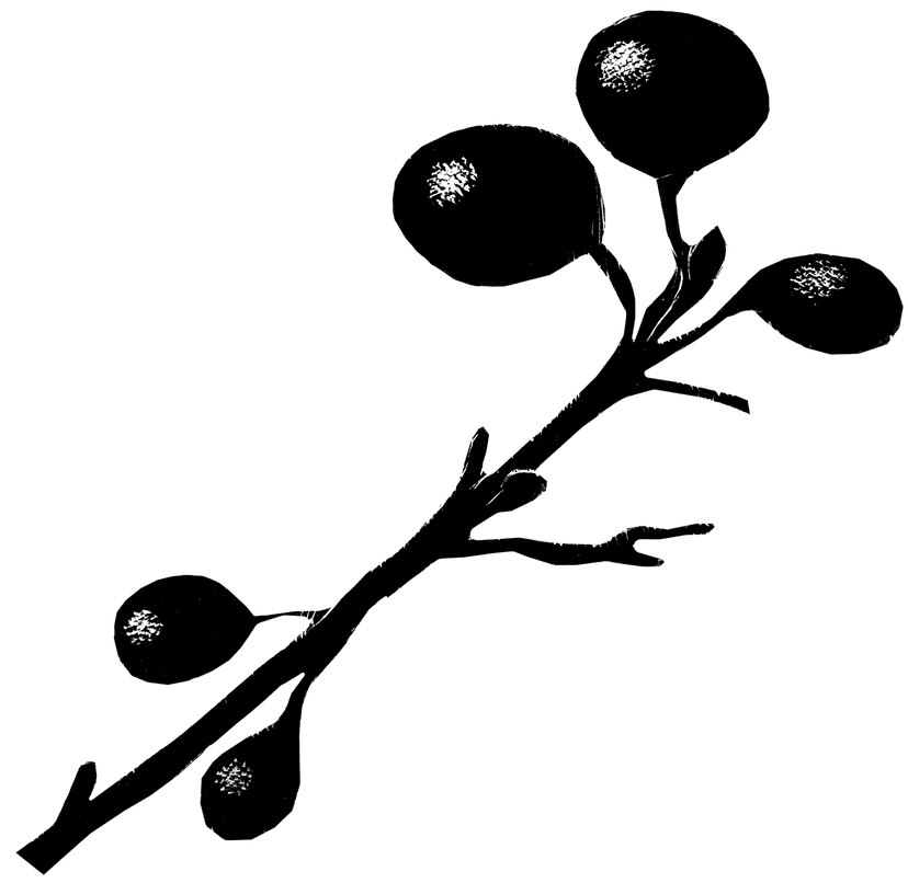 17264X_Duve_Regenroman_BM_02.png