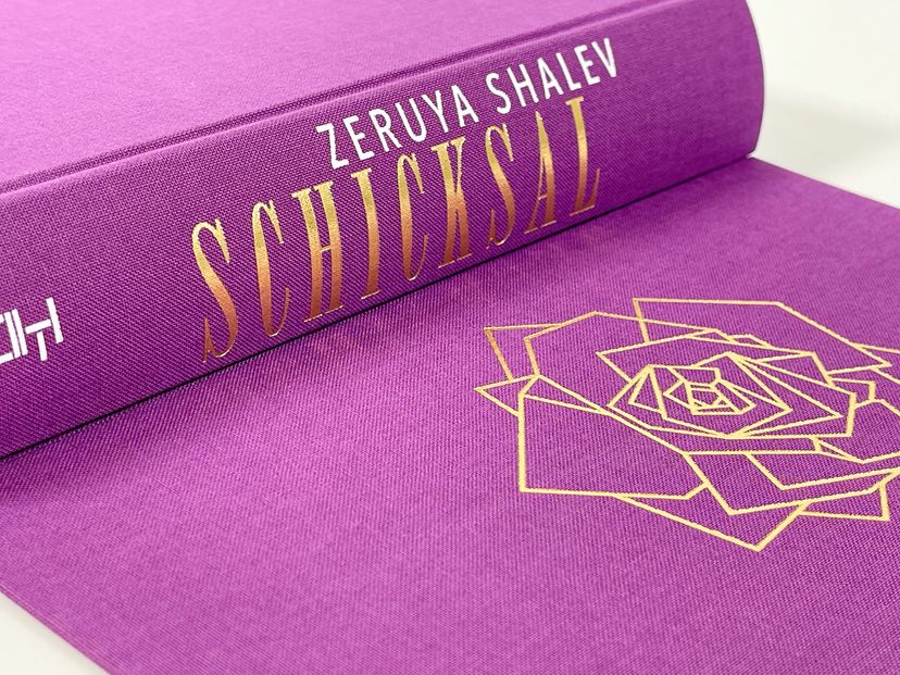 172909_Shalev_Schicksal_BA_03.jpg