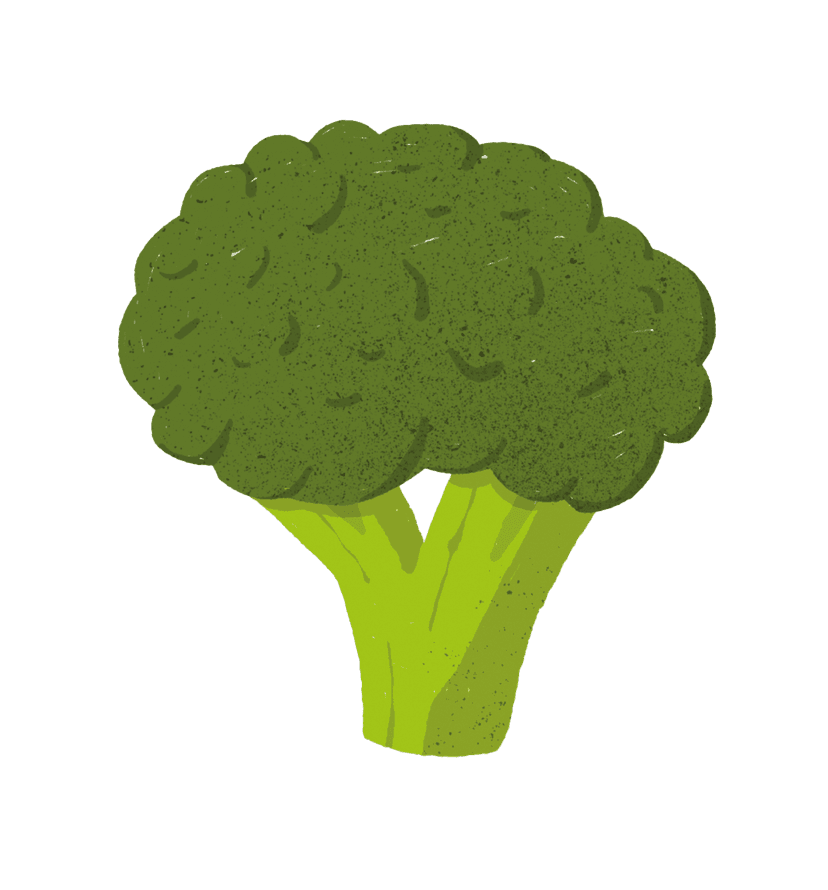 172968_Radtke-Lungmuss_Kochen_IL_23.png