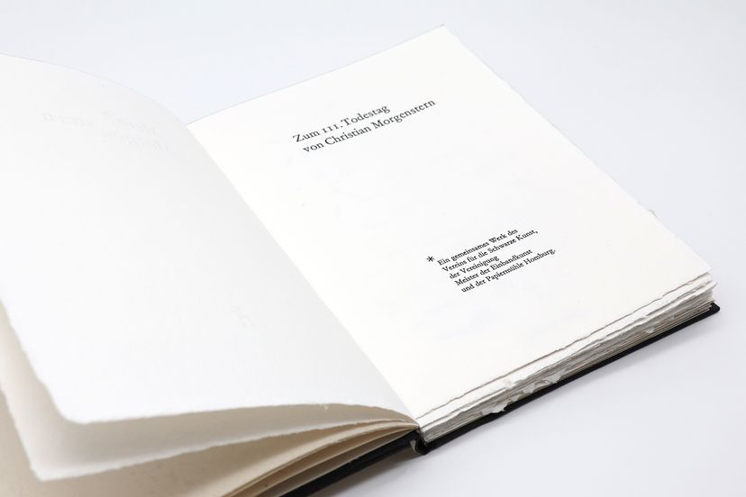 176343_VereinMDE_Morgenstern-1_BM_07.jpg