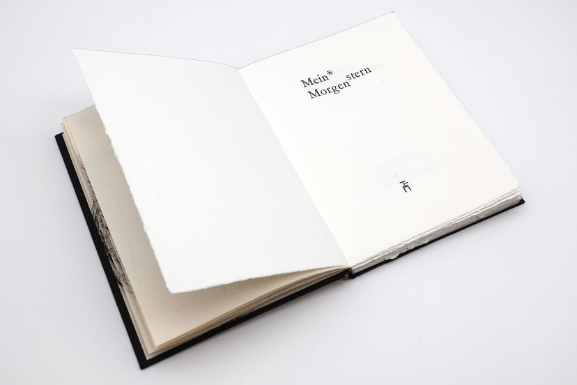 176432_VereinMDE_Morgenstern-10_BM_06.jpg