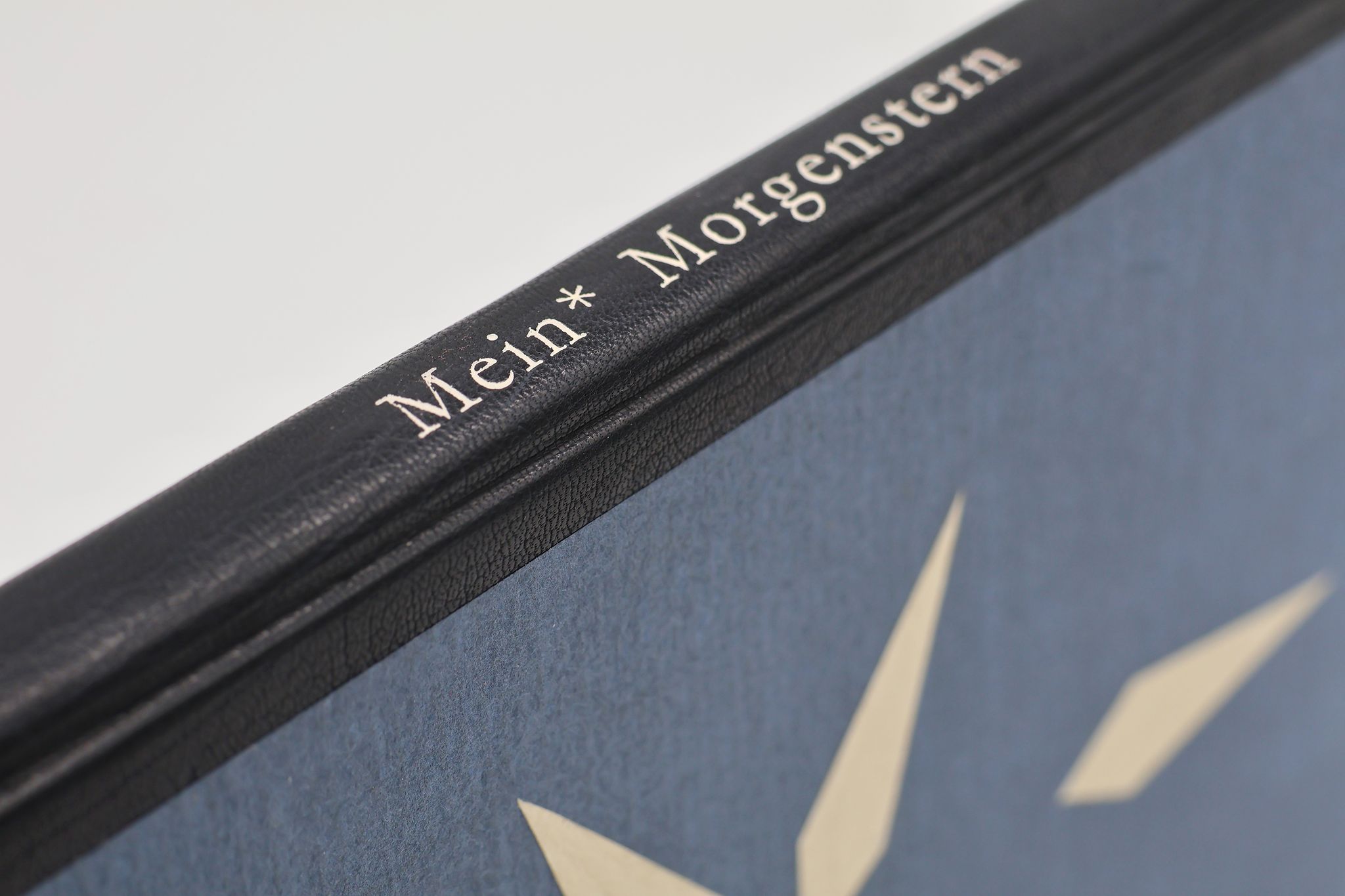 176548_VereinMDE_Morgenstern-21_BM_03.jpg