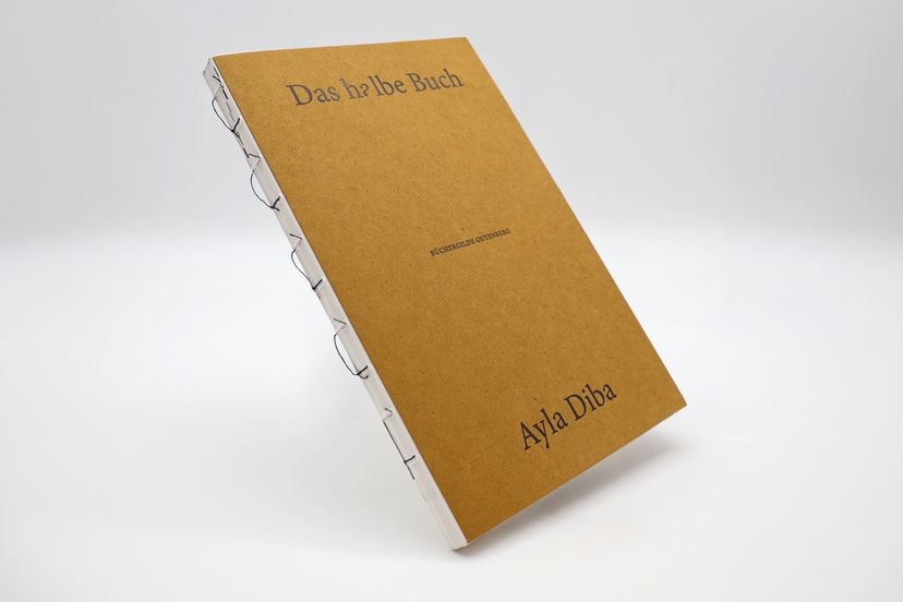 17765X_Diba_HalbeBuch_BA_07.jpg