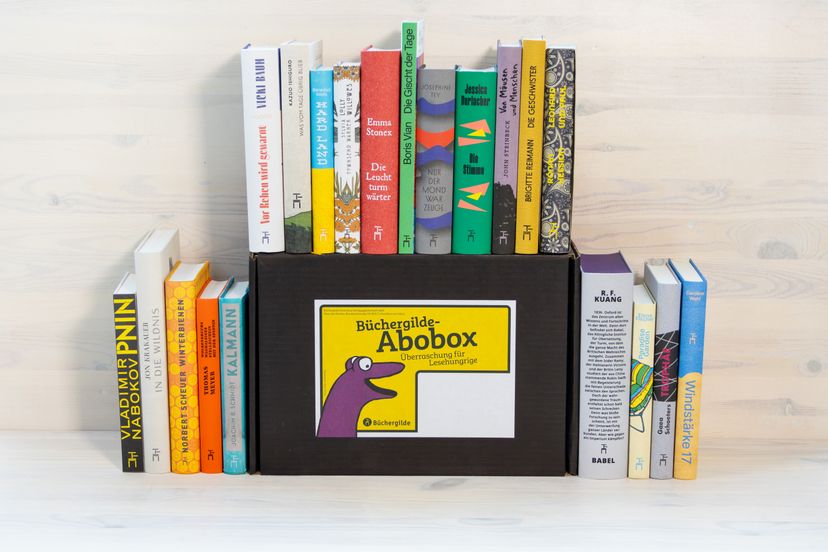 309271_Abobox_Wahl_BM_01.jpg